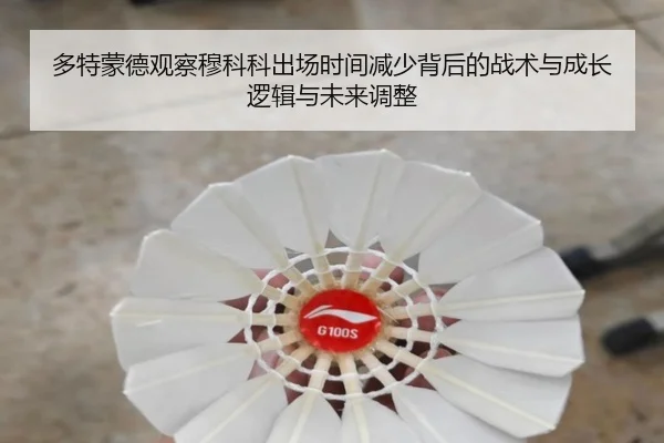 多特蒙德观察穆科科出场时间减少背后的战术与成长逻辑与未来调整