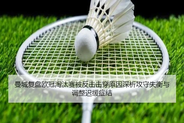 img_1782821012656_347_1_556.jpg